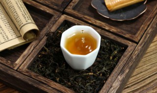 大红袍是什么茶呢(大红袍是属于什么茶)