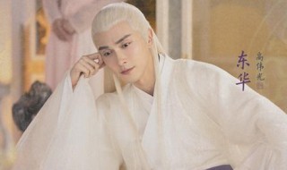 三生三世枕上书剧情介绍(主要讲述的是什么故事)