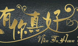 有你真好歌词(有你真好的歌词)