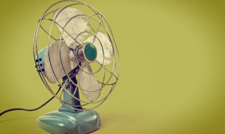 fan是什么意思(fan具体是什么意思)