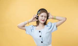 我们一起学猫叫歌词(学猫叫完整歌词)