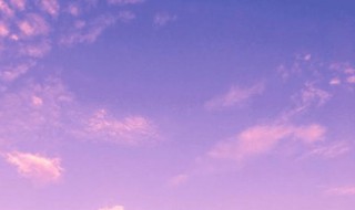 purple是什么意思颜色(purple意思介绍)