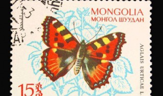 关于邮票的资料20字(邮票的介绍)