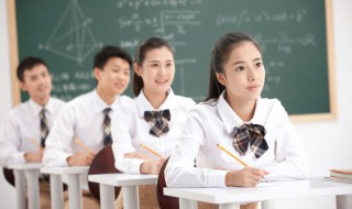 cip是什么意思(怎么理解cip的意思)