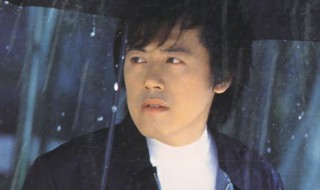 歌词从此不再是一个人是什么歌(给你们歌词欣赏)