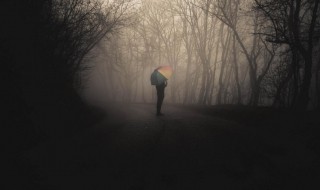 黑暗森林法则什么意思(黑暗森林法则意思是什么)