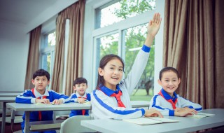 plus是什么意思(plus的意思)