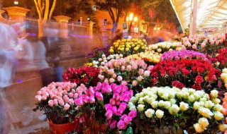 25种常见花花语大全(25种常见花花语精选)