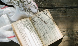 advanced是什么意思(advanced双语例句)