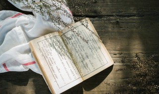 何言相濡以沫是什么意思(何言相濡以沫的意思是什么)
