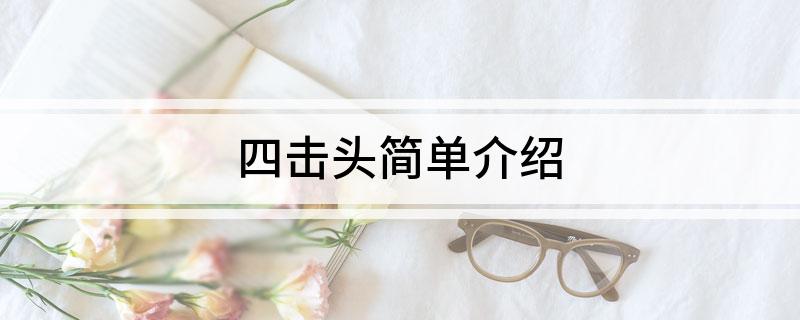 四击头简单介绍