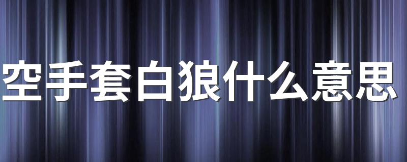 空手套白狼的含义_空手套白狼什么意思