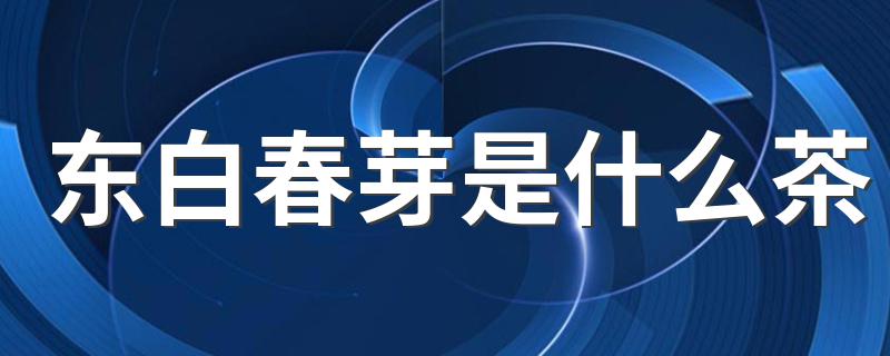 东白春芽介绍_东白春芽是什么茶