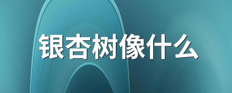 叶子像什么？_银杏树像什么