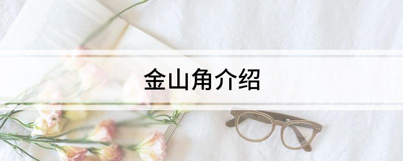 金山角介绍