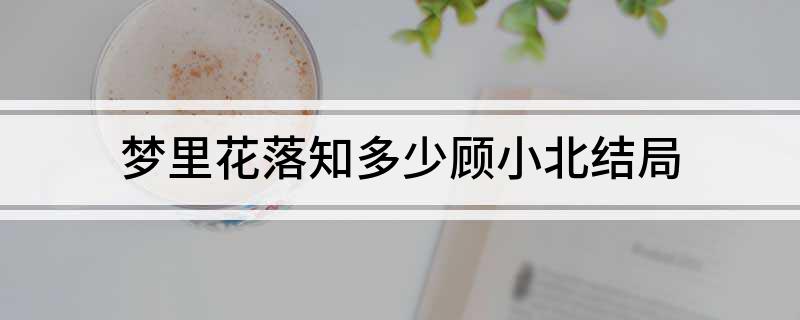 梦里花落知多少顾小北结局