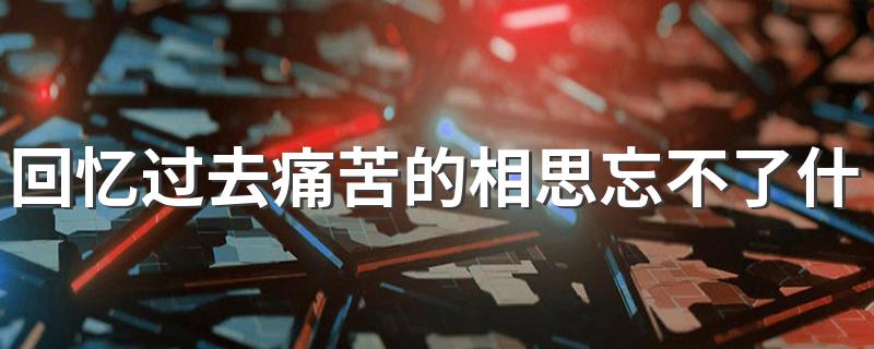 歌词回忆过去痛苦的相思忘不了出自哪首歌_回忆过去痛苦的相思忘不了什么歌