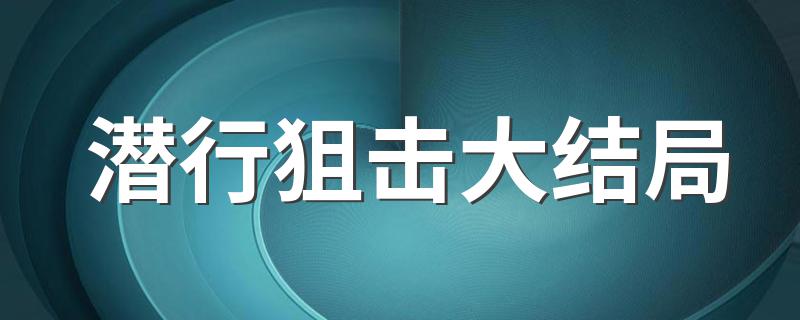 潜行狙击的大结局是什么_潜行狙击大结局