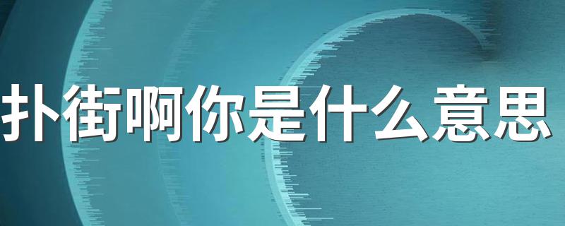 什么是扑街啊你_扑街啊你是什么意思