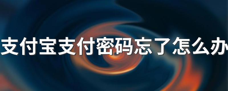 解决方法总结如下_支付宝支付密码忘了怎么办