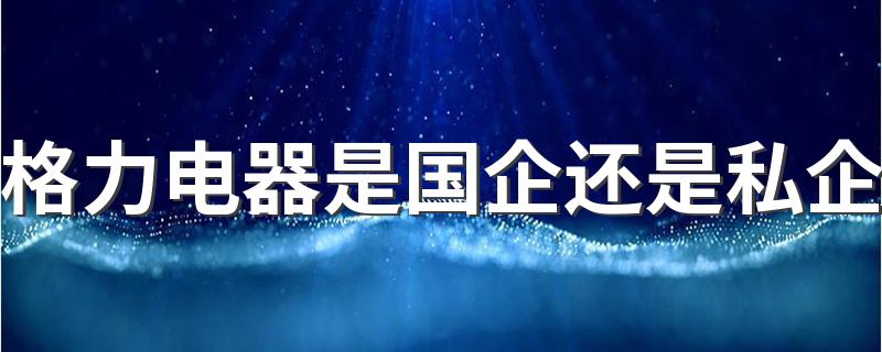 现在你明白了吗_格力电器是国企还是私企