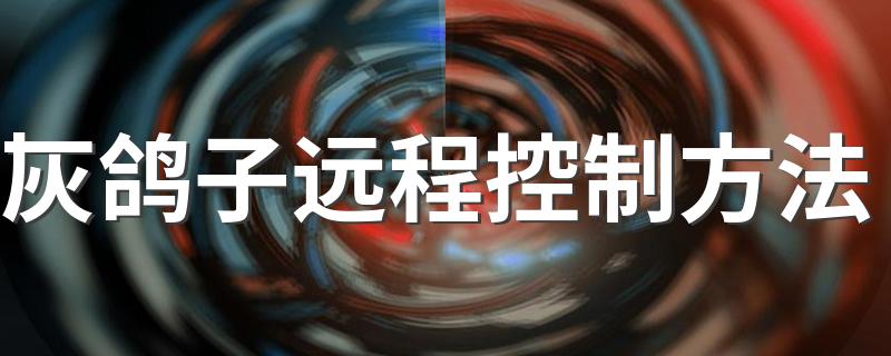 灰鸽子远程控制方法简述_灰鸽子远程控制方法