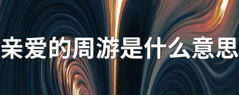 亲爱的周游的含义_亲爱的周游是什么意思