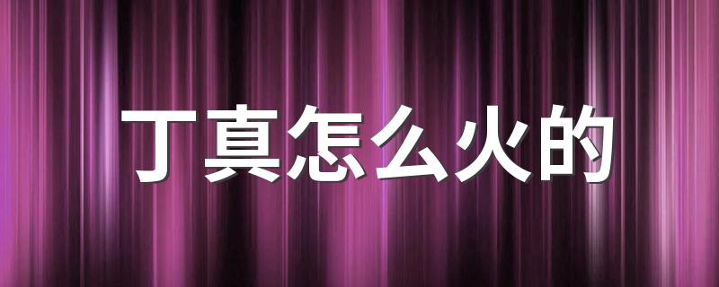 丁真为什么会走红_丁真怎么火的