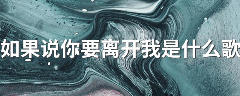 爱之初体验歌曲介绍_如果说你要离开我是什么歌