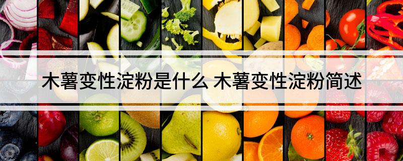木薯变性淀粉是什么(木薯变性淀粉简述)