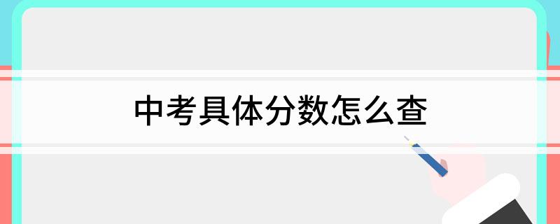 中考具体分数怎么查