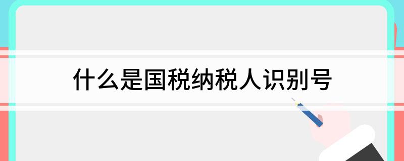 什么是国税纳税人识别号