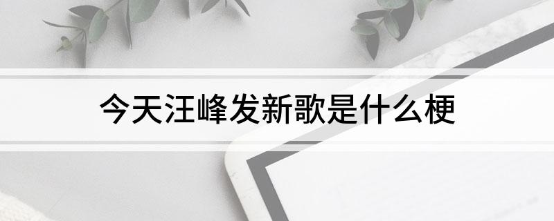 今天汪峰发新歌是什么梗