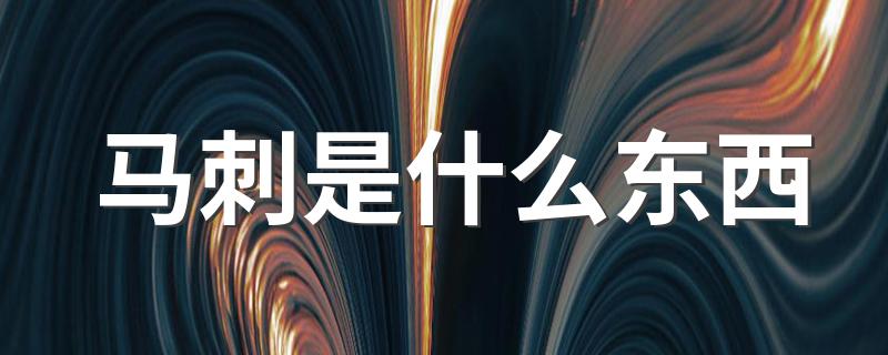 马刺简述_马刺是什么东西