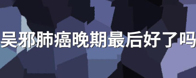 吴邪人物介绍_吴邪肺癌晚期最后好了吗
