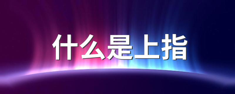 上指的意思_什么是上指