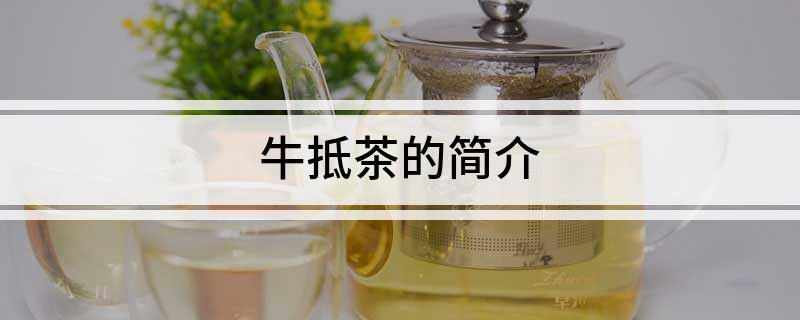 牛抵茶的简介