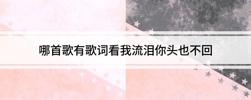 哪首歌有歌词看我流泪你头也不回