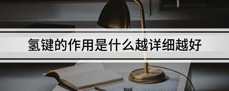 氢键的作用是什么越详细越好
