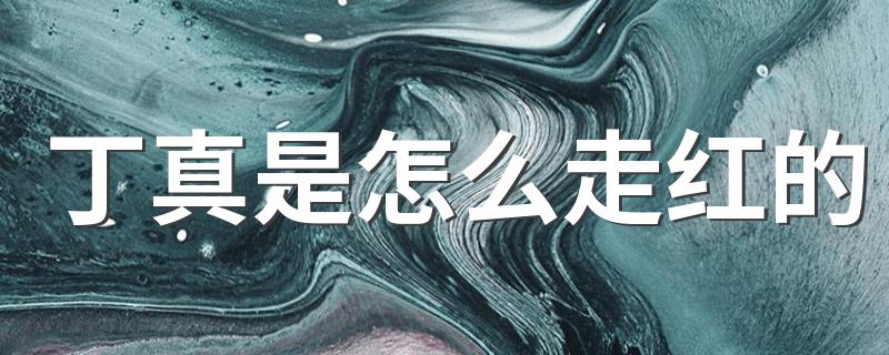 丁真走红原因揭秘_丁真是怎么走红的