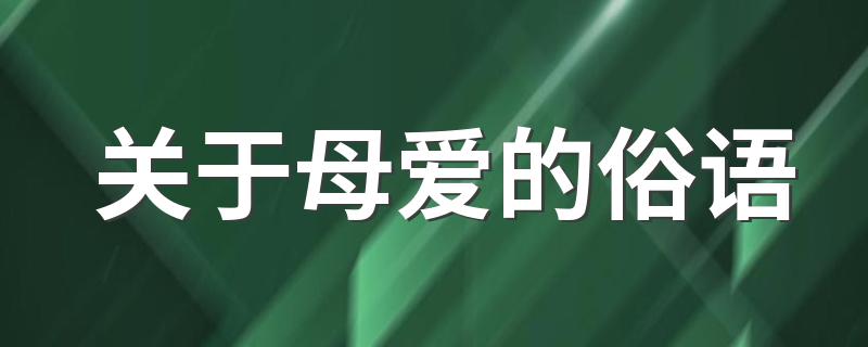 关于母爱的俗语有什么_关于母爱的俗语