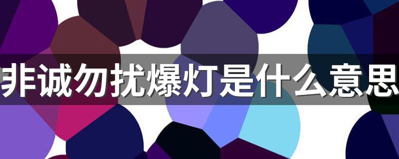 非诚勿扰爆灯有什么含义_非诚勿扰爆灯是什么意思