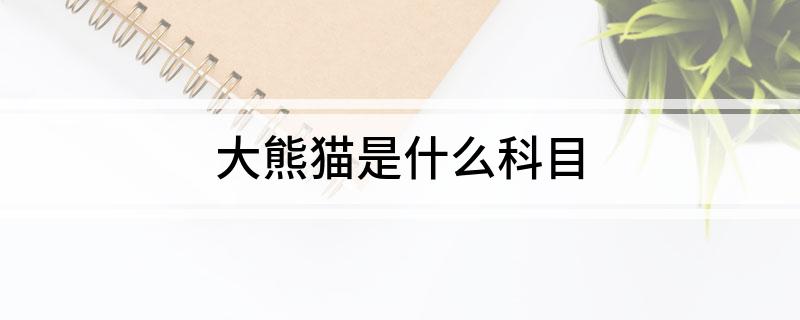 大熊猫是什么科目