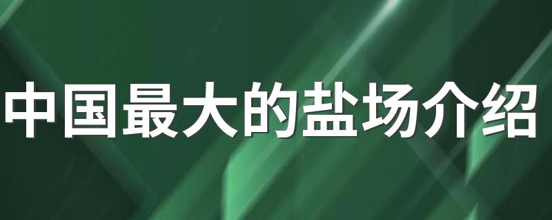 中国最大的盐场介绍简述_中国最大的盐场介绍