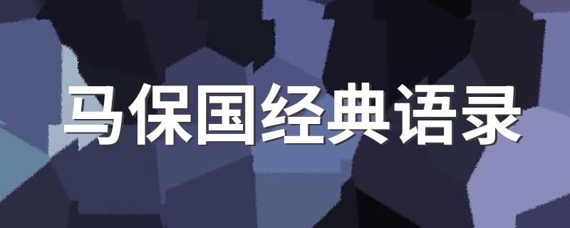 关于马保国语录有什么_马保国经典语录