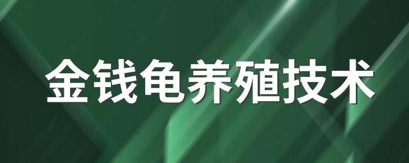 金钱龟的饲养方法_金钱龟养殖技术