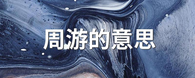 周游的意思是什么_周游的意思