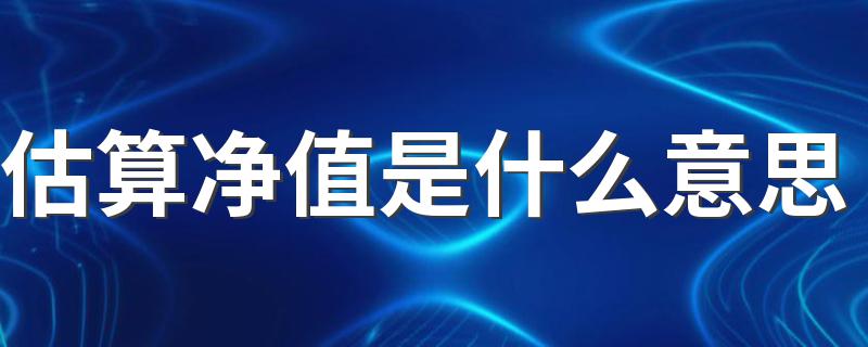 净值估算的意思_估算净值是什么意思