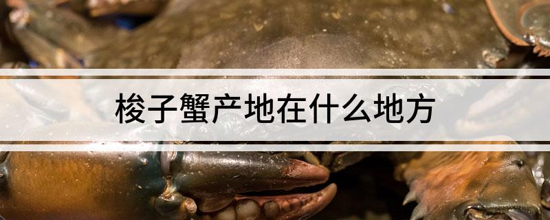 梭子蟹产地在什么地方