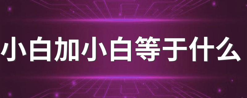 你知道答案吗_小白加小白等于什么